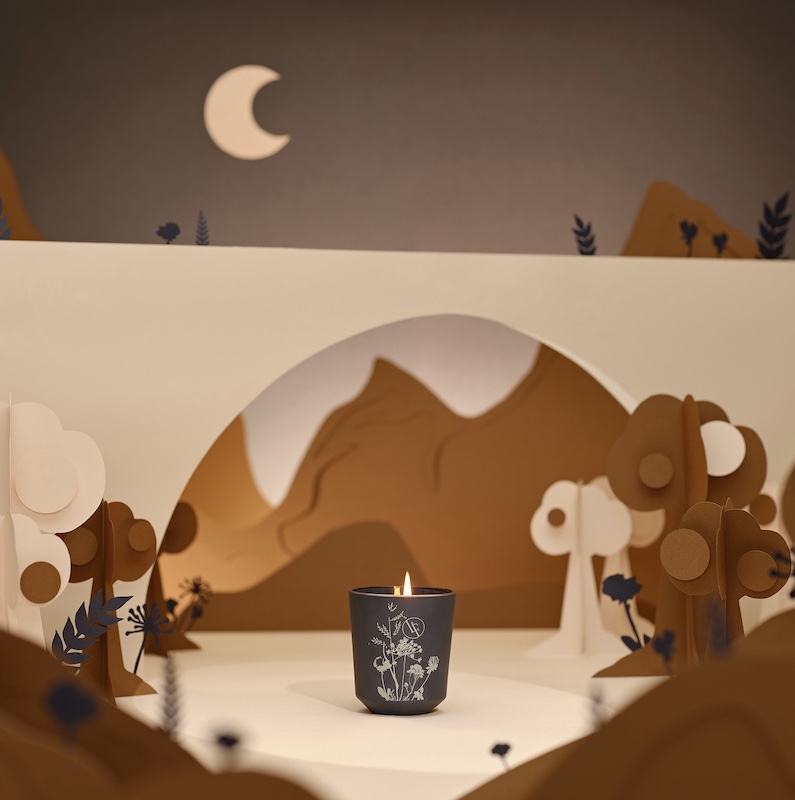 Ароматическая свеча BLF "Древесная симфония" 200 гр.