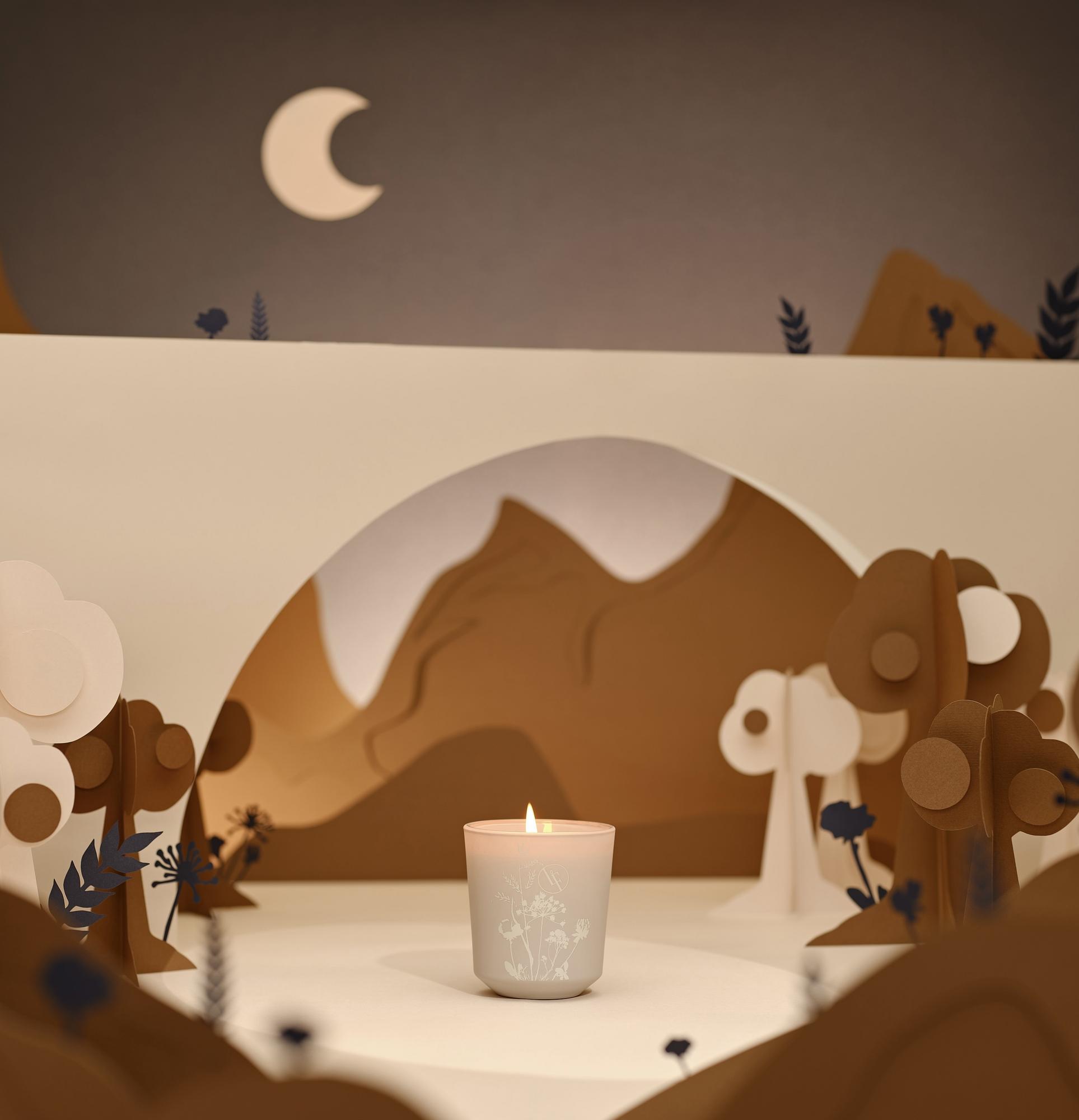 Ароматическая свеча BLF "Бархатистый ирис" 200 гр.