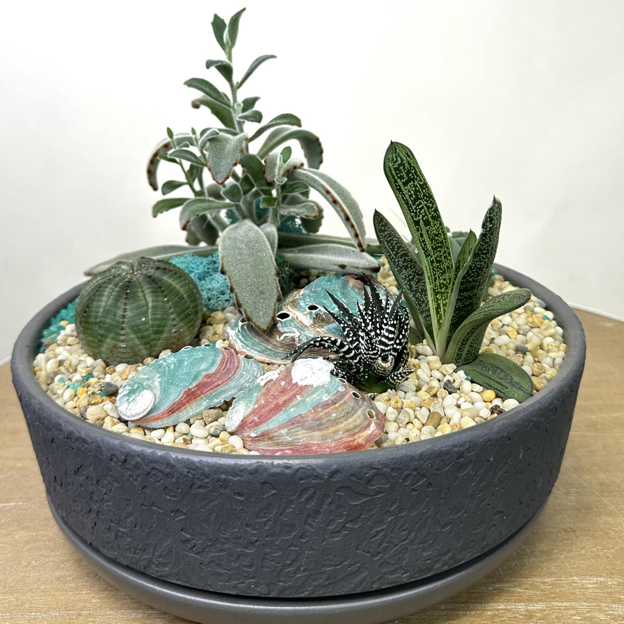 Флорариум "Отдых на Мальдивах"