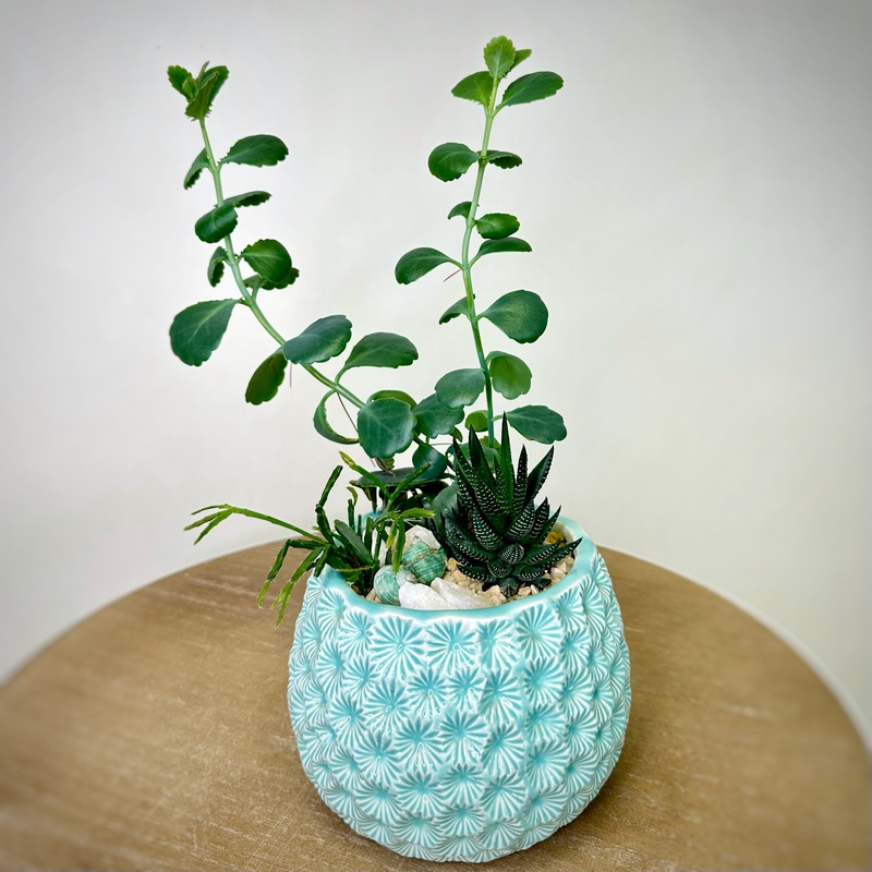 Флорариум "Мальдивы"