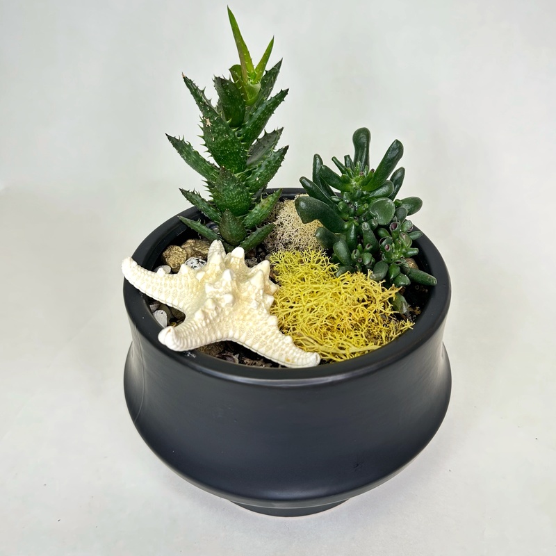 Флорариум "Морской прибой"