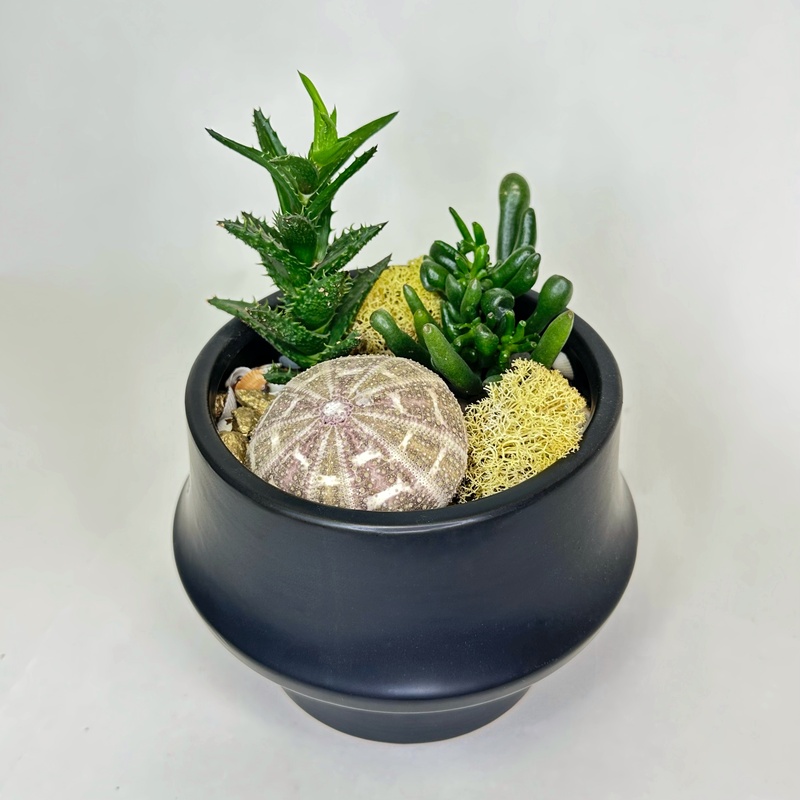 Флорариум "Килиманджаро"