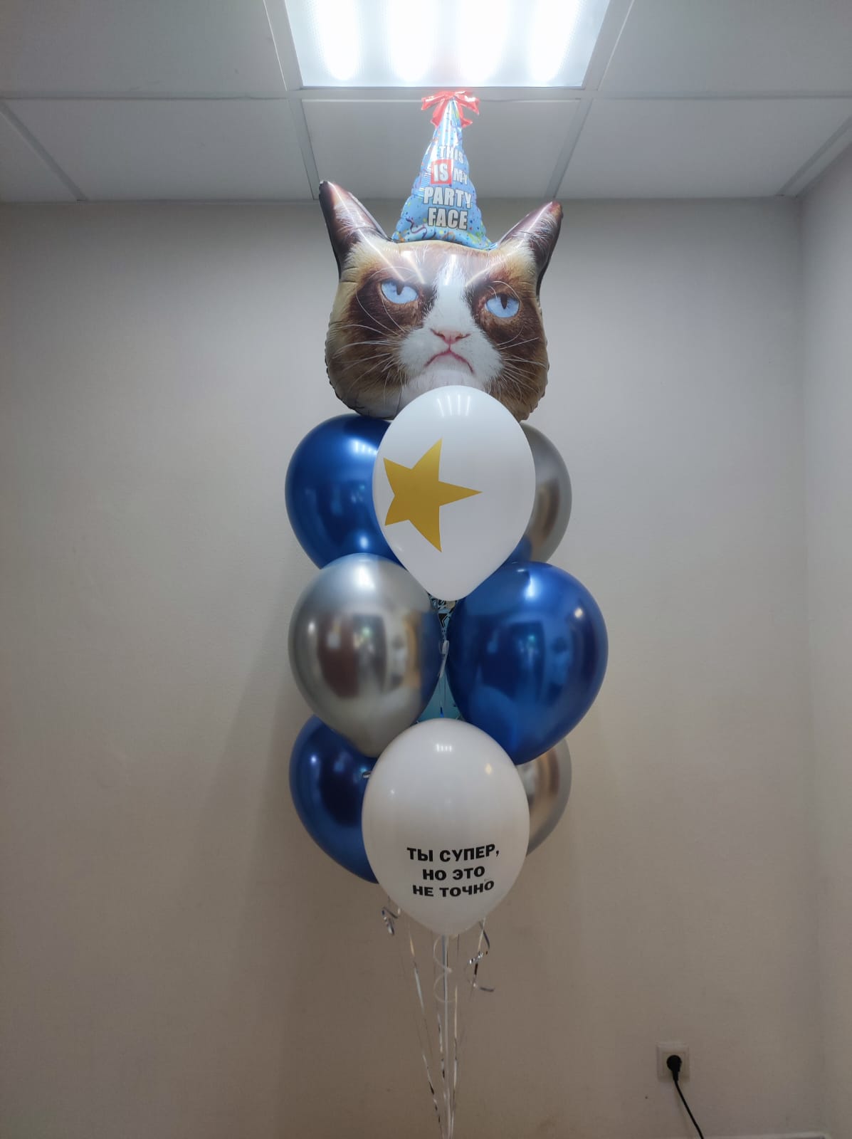 Сердитая кошка букет из 10 шаров