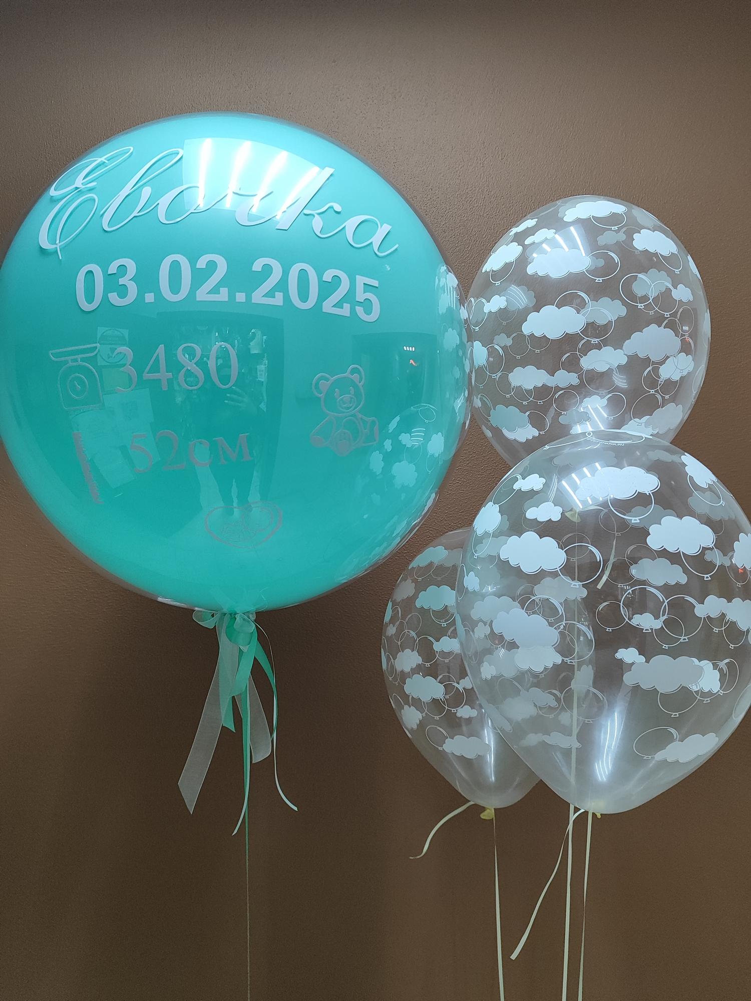 Выписка Шар с метрикой