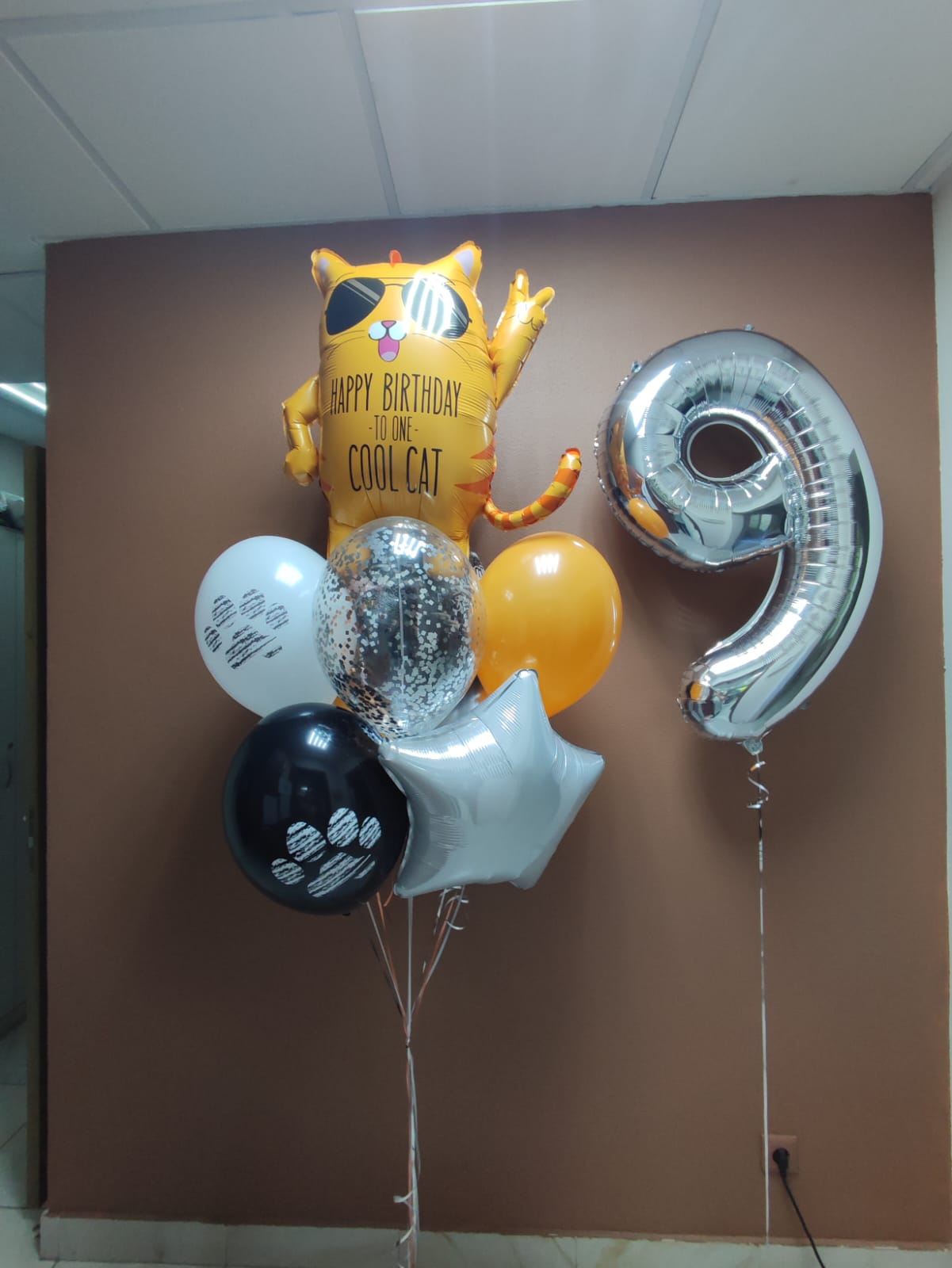 Шар рыжий кот в очках букет