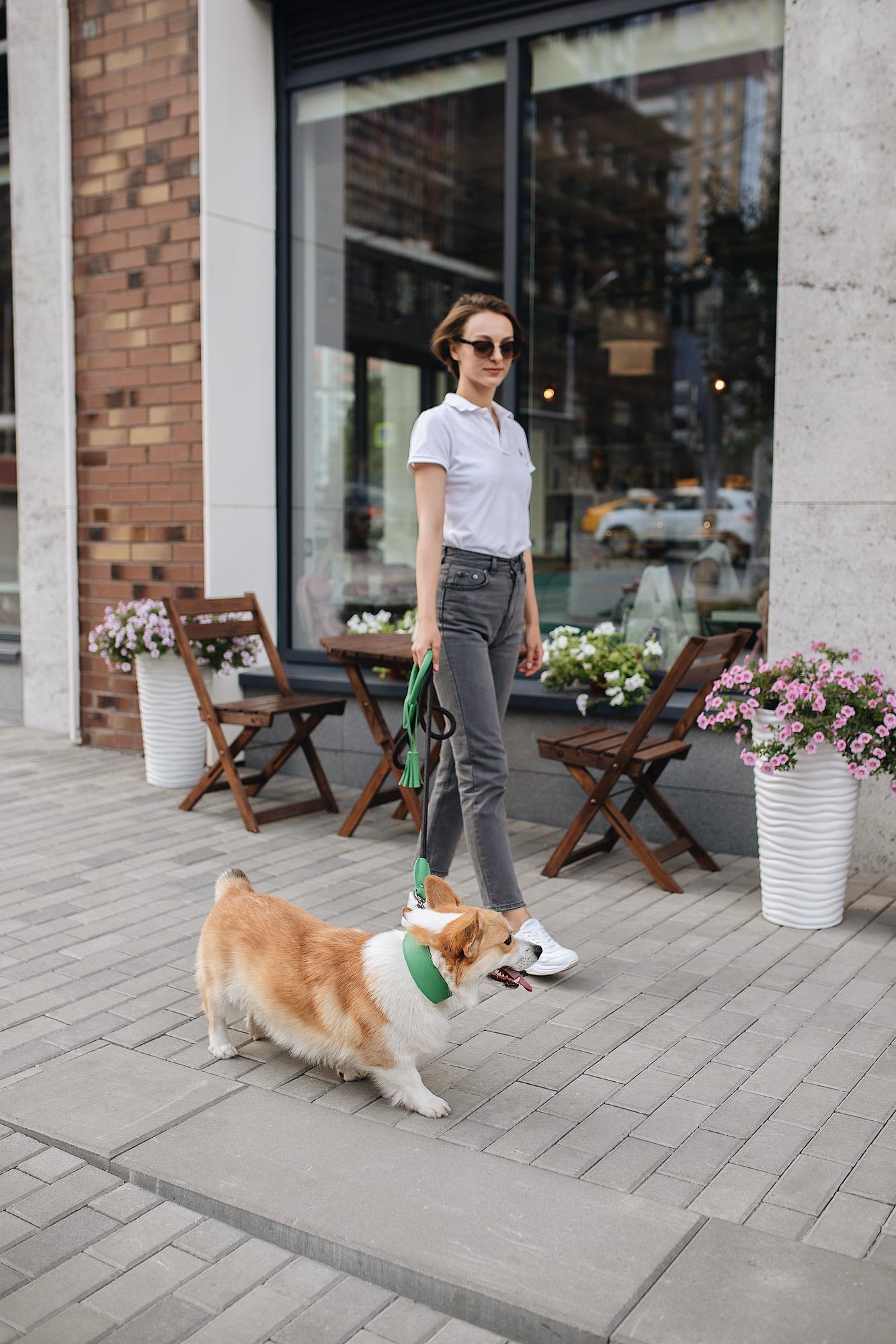 ОШЕЙНИК-СЕЛЕДКА