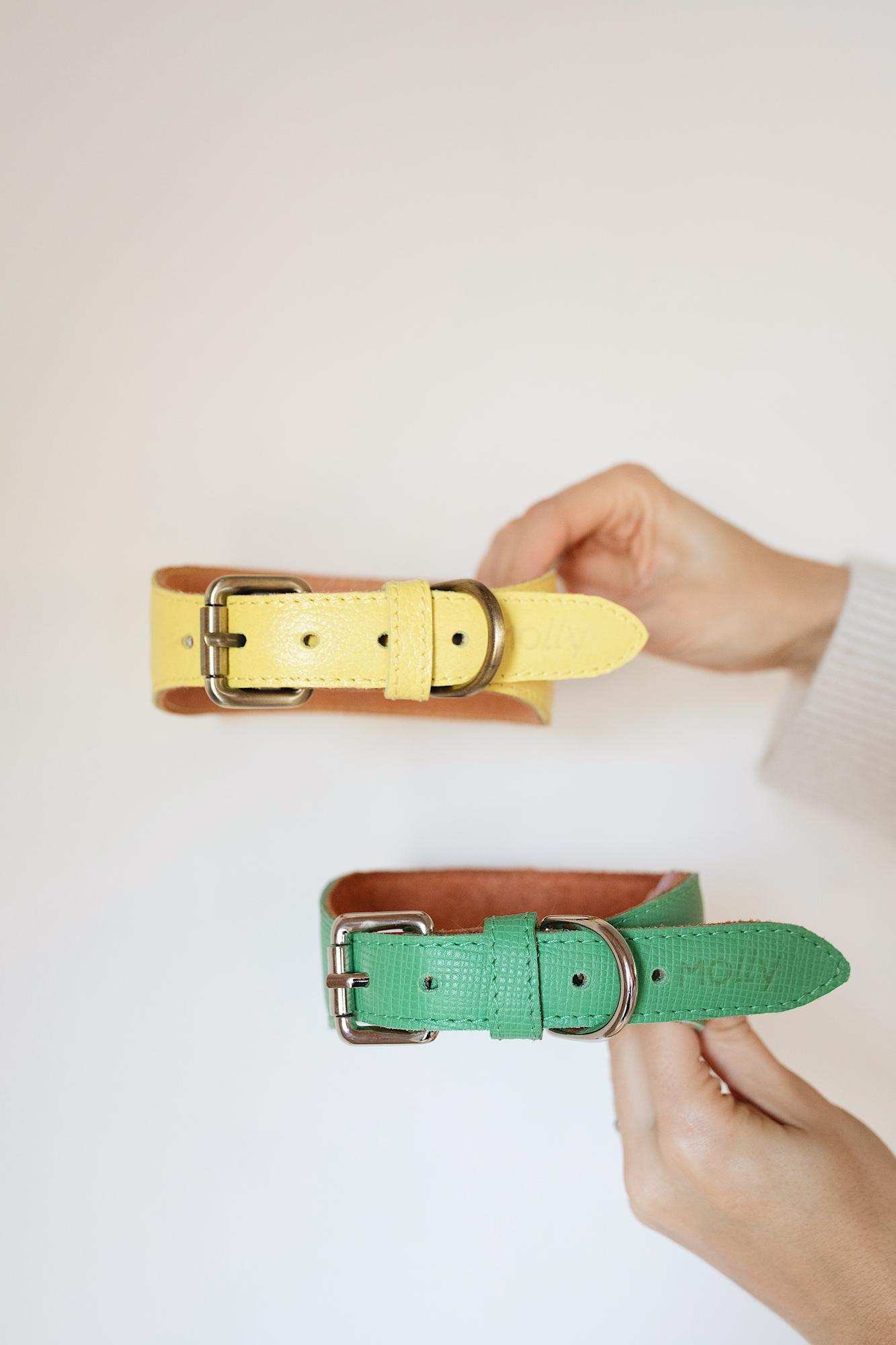 ОШЕЙНИК-СЕЛЕДКА