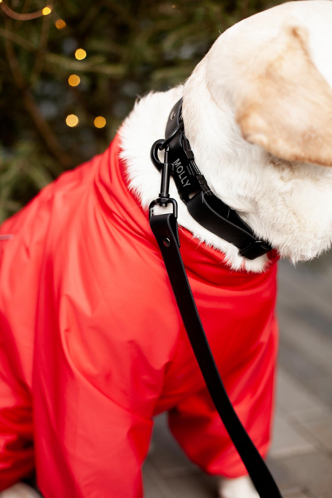 ПОВОДОК ИЗ БИОТАНА