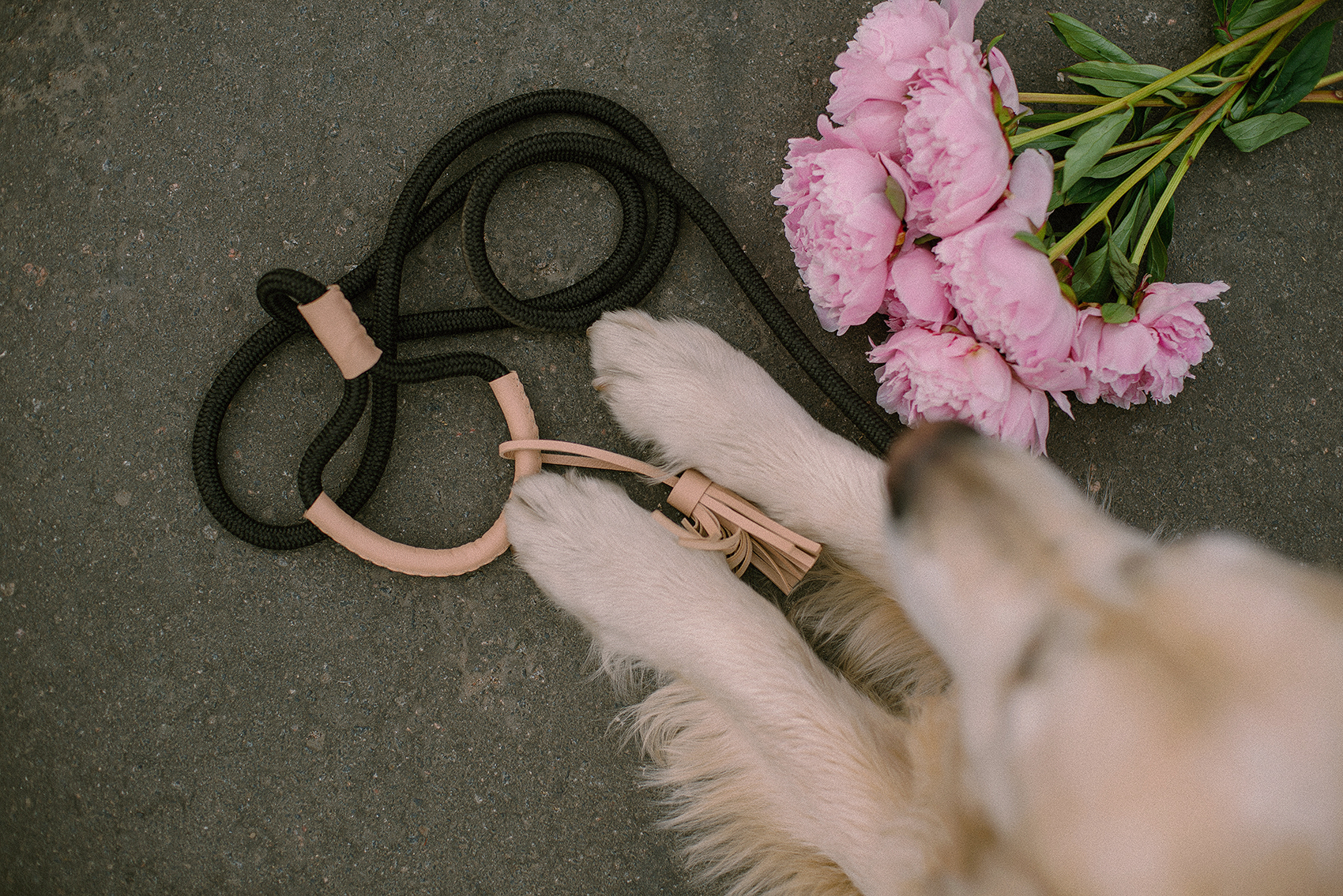 ПОВОДОК ИЗ КАНАТА