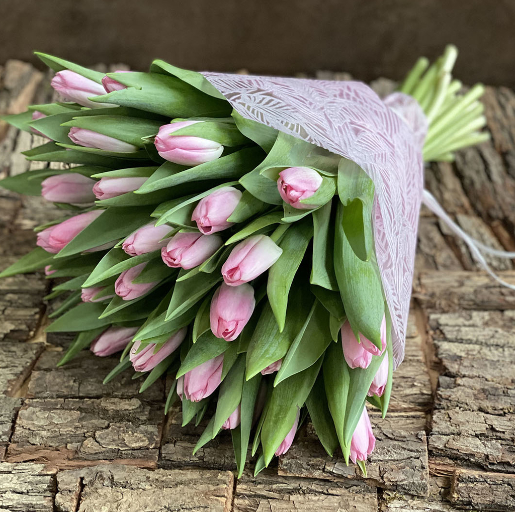 Розовые тюльпаны 49 шт №004