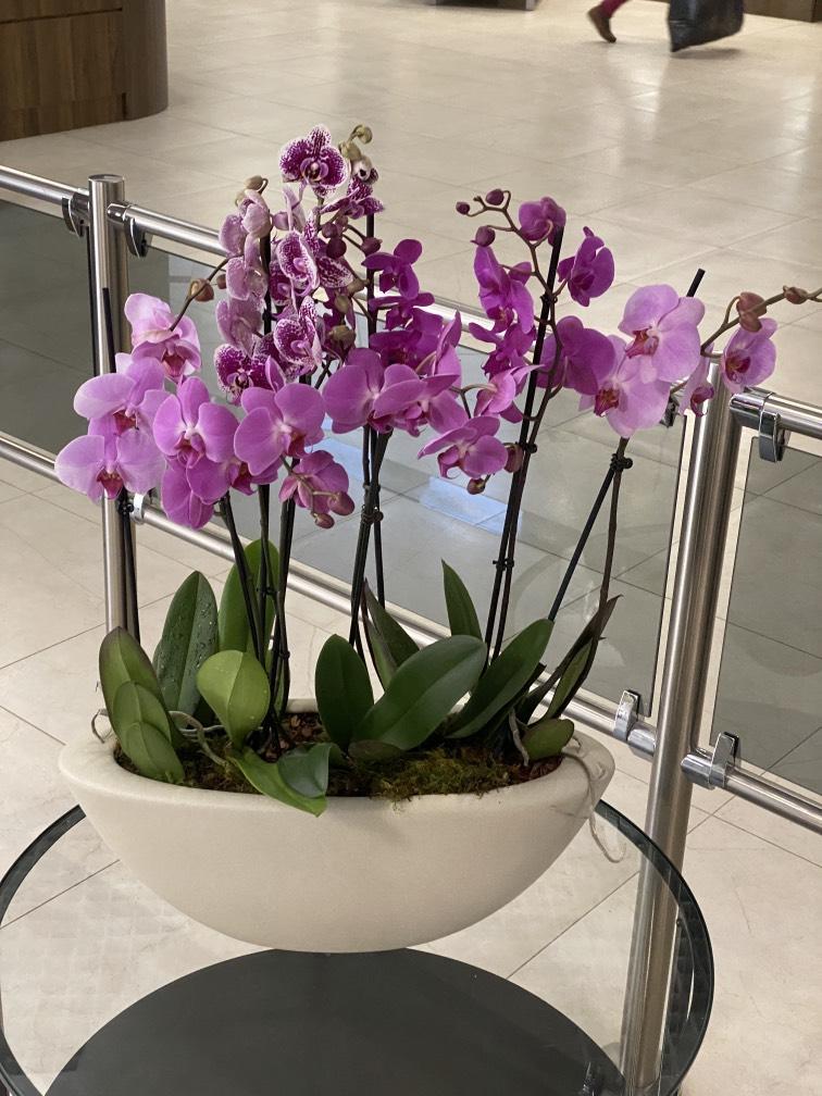 Розовые орхидеи искусственные №051
