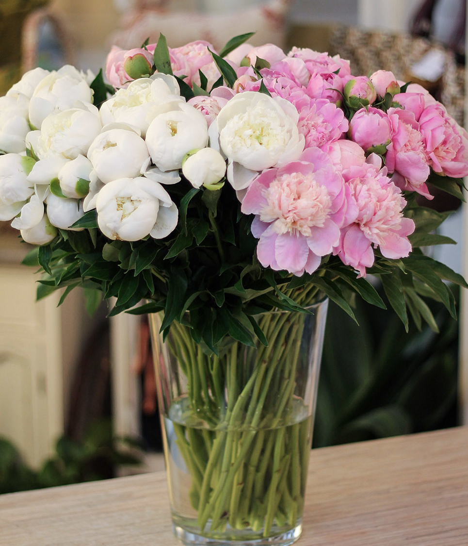 Букет из пионов микс №026