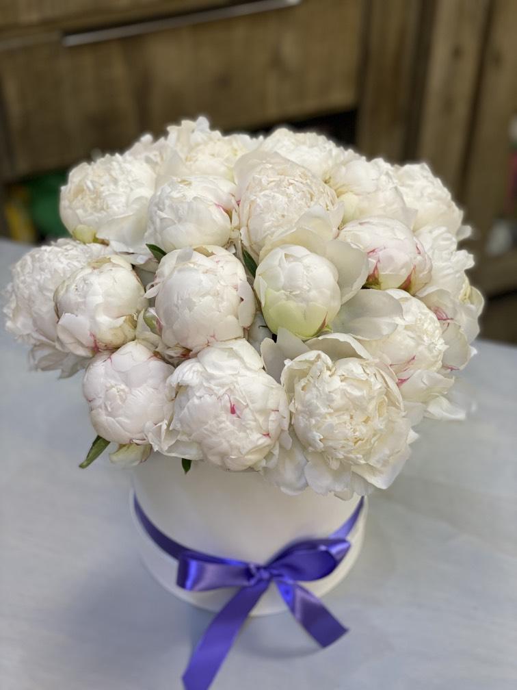 Флора Марселя №168