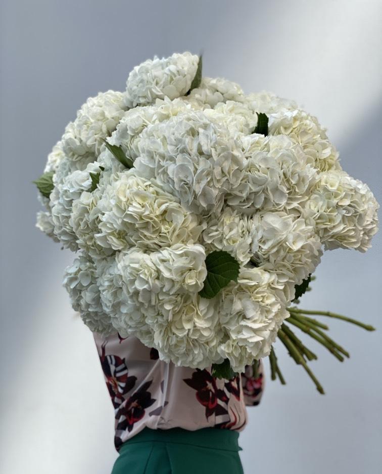 Белое облако росы 27 шт №199