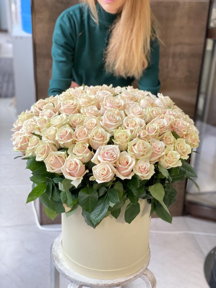 Кремовые Гавайи №556