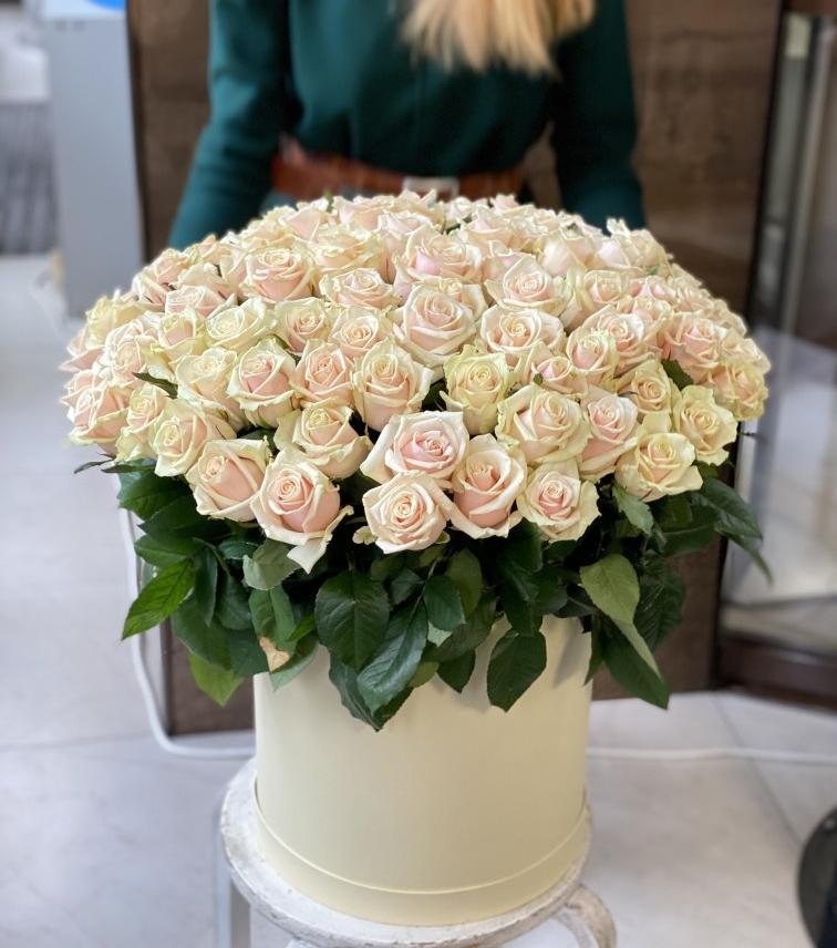 Роза талея в коробке №582