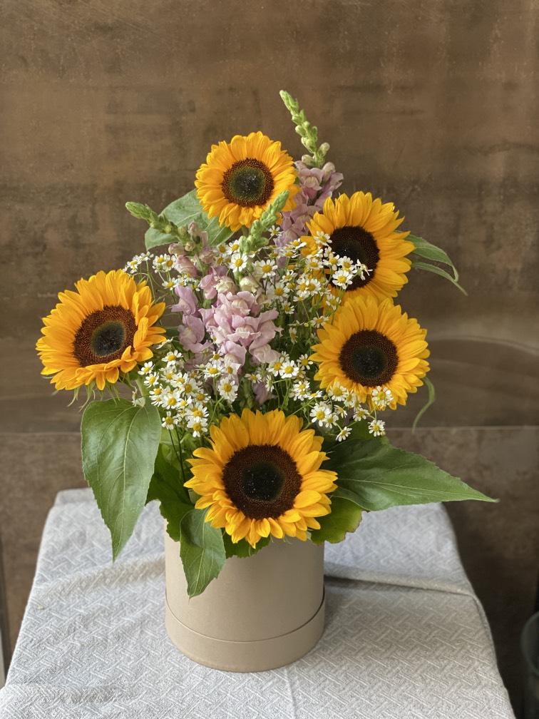 Подсолнухи с нежными цветами №622