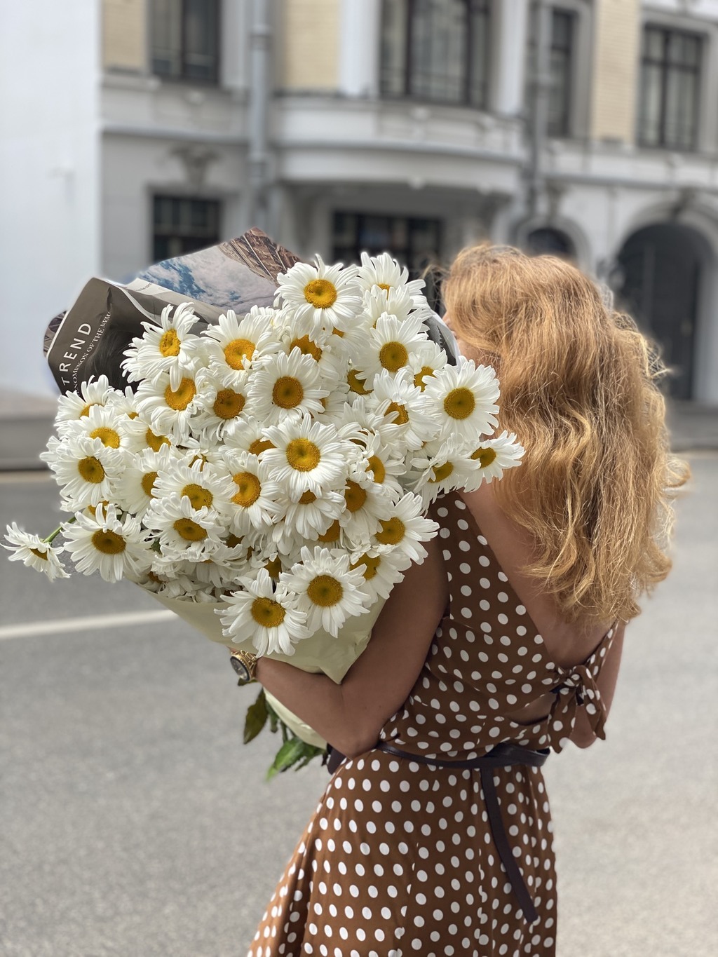 Поле из Ромашек №640