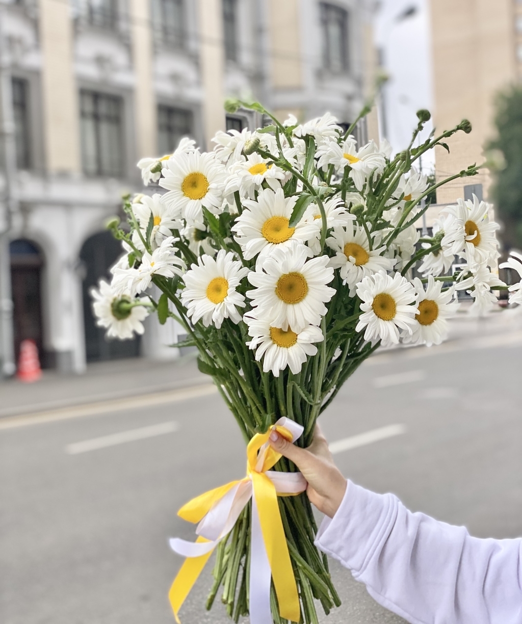 Родные ромашки  №647