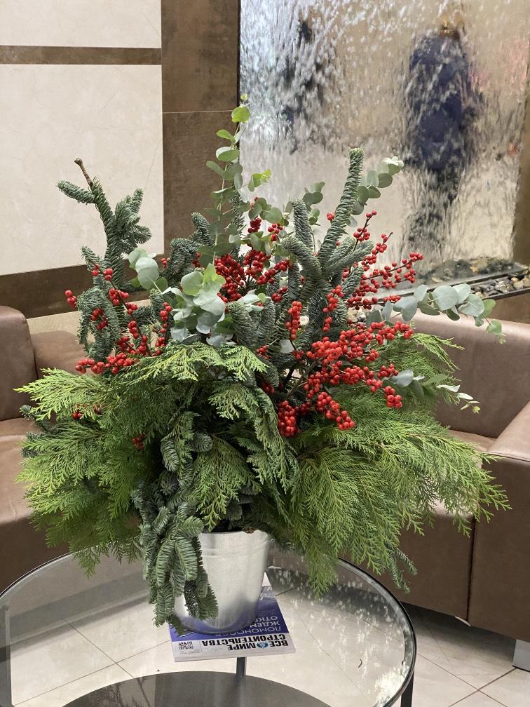 Собран в Лесу с Илексом №922