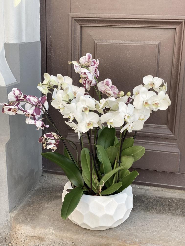 Композиции из искусственных орхидей №947