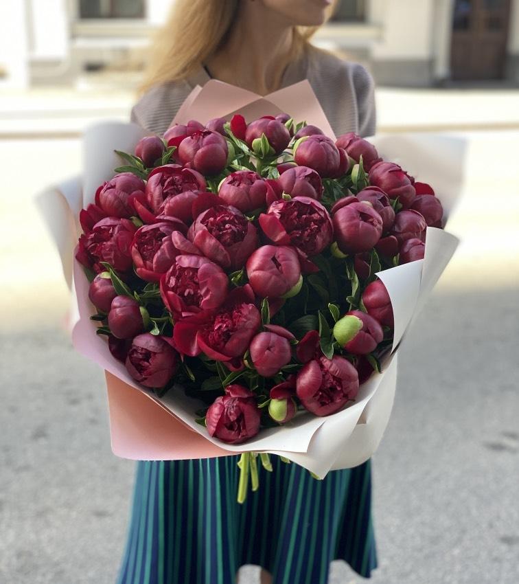 Бордовые пионы №989