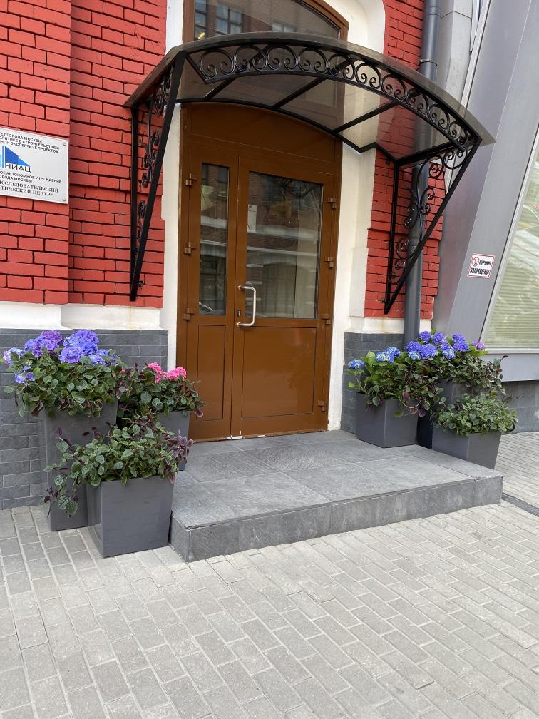 Уличное озеленение №1009