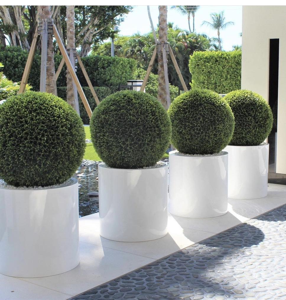 Оформление возле дома (иск) №1045