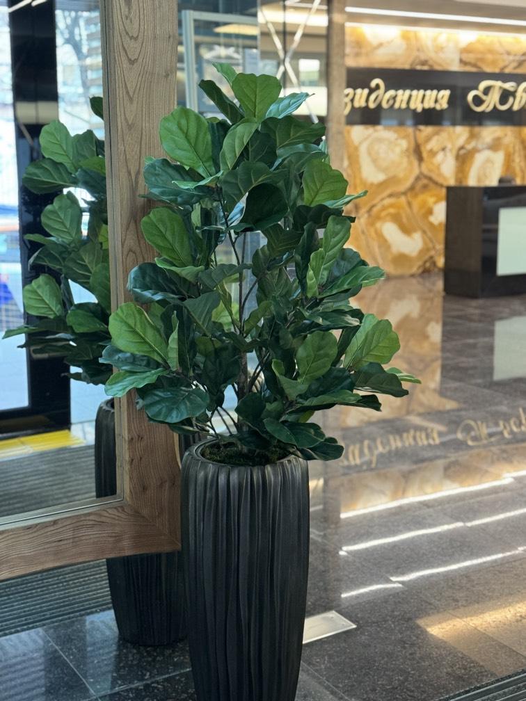 Фикус Литара средний 130 см искусственный №1047
