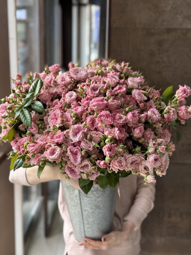 Роза Пинк Эсейшен №1113