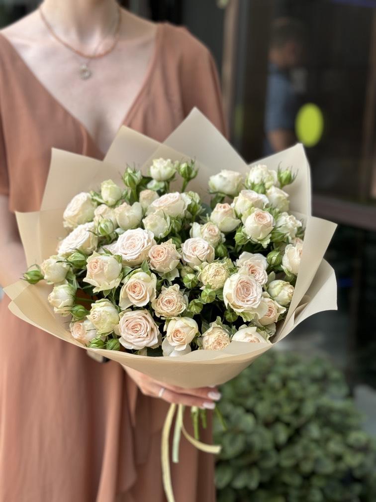 Роза Софья № 1115