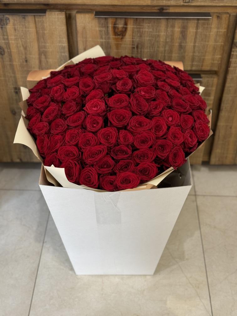 Бордовые розы 101 шт №1119