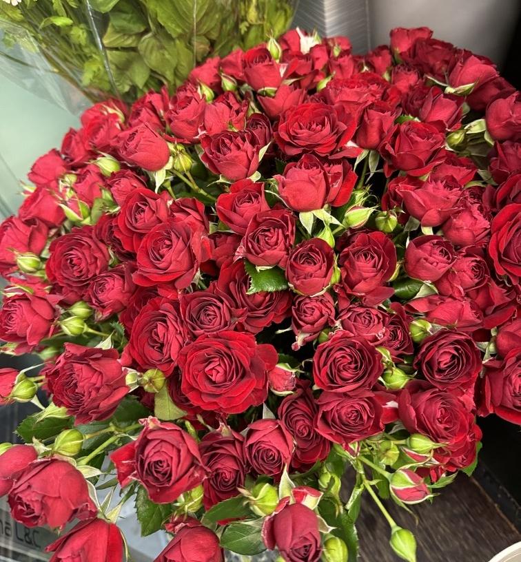 Роза Ред Бабблз №1121