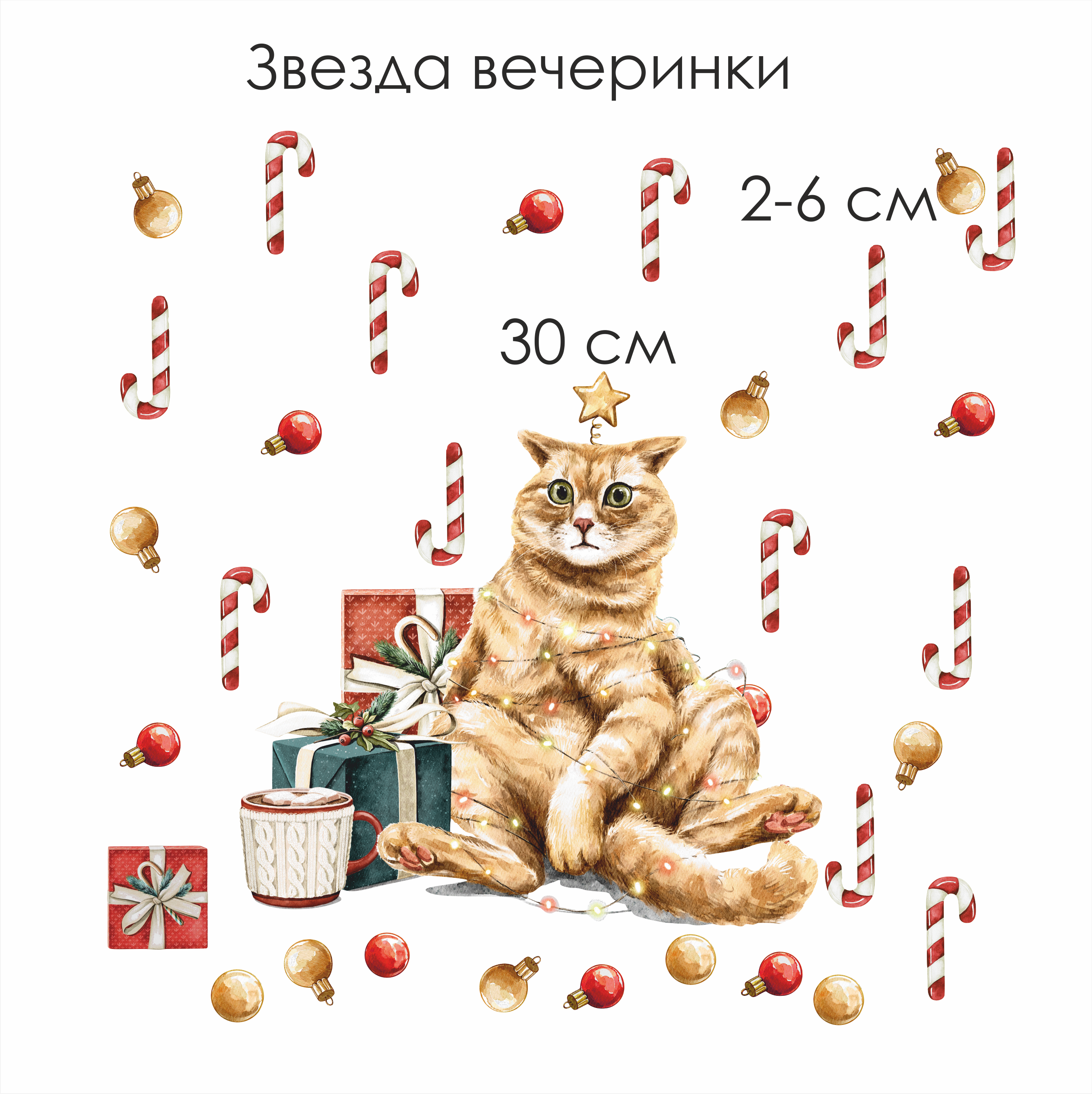Наклейки на окно "Звезда вечеринки"