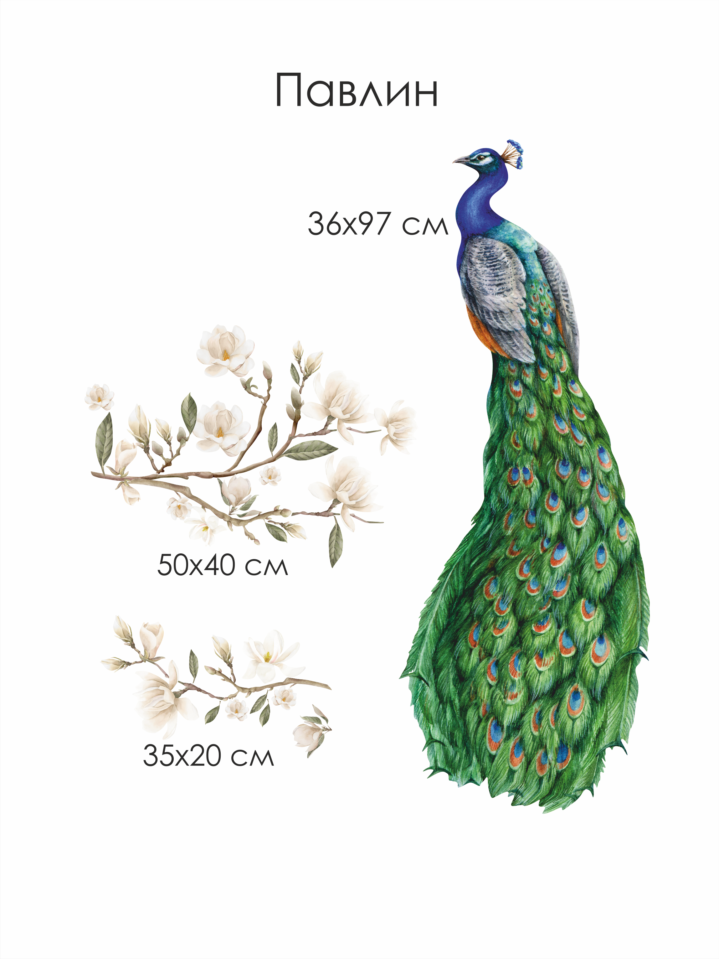 Наклейки на стену "Павлин"