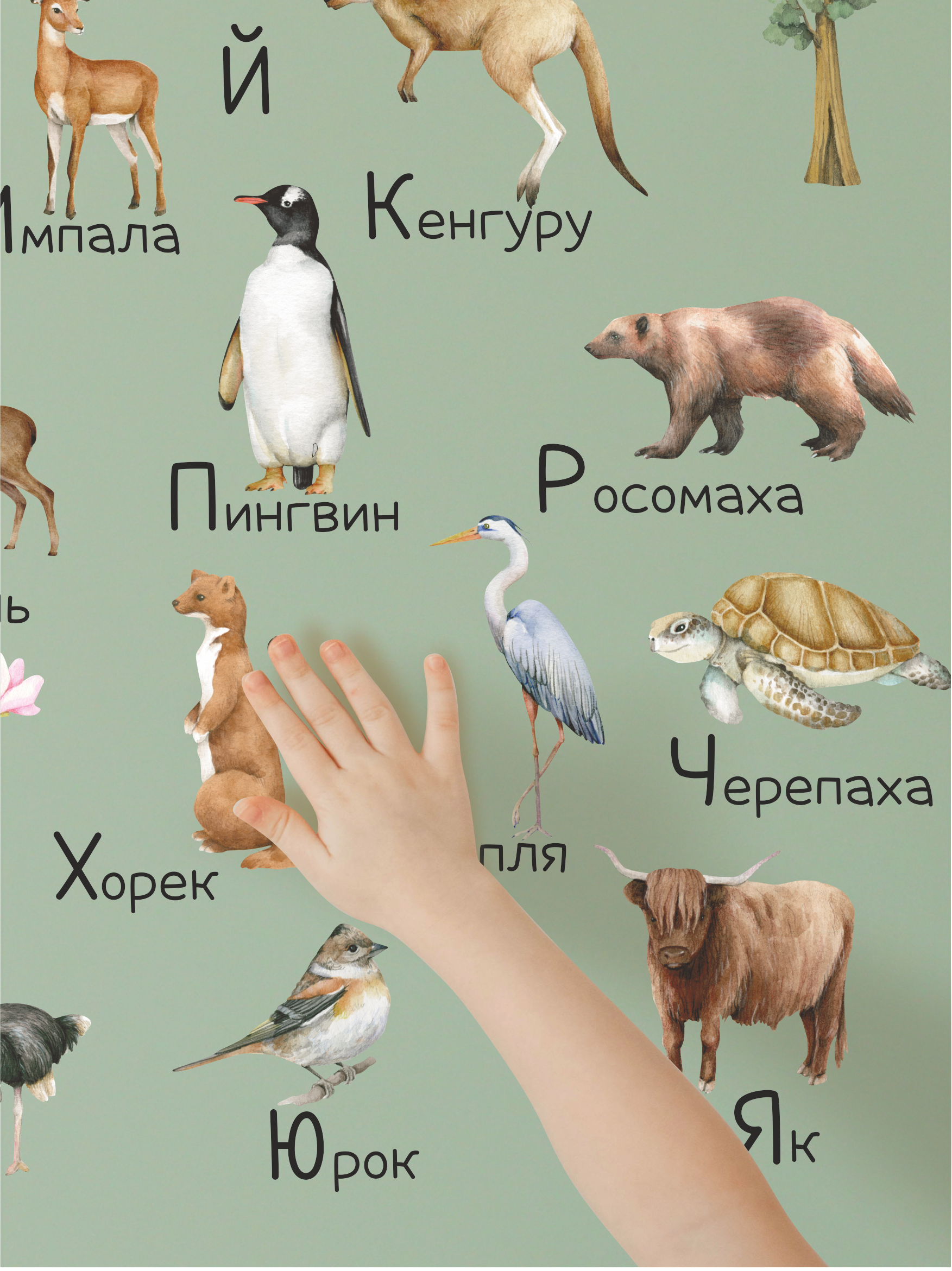 Наклейки на стену "Алфавит наклейка"