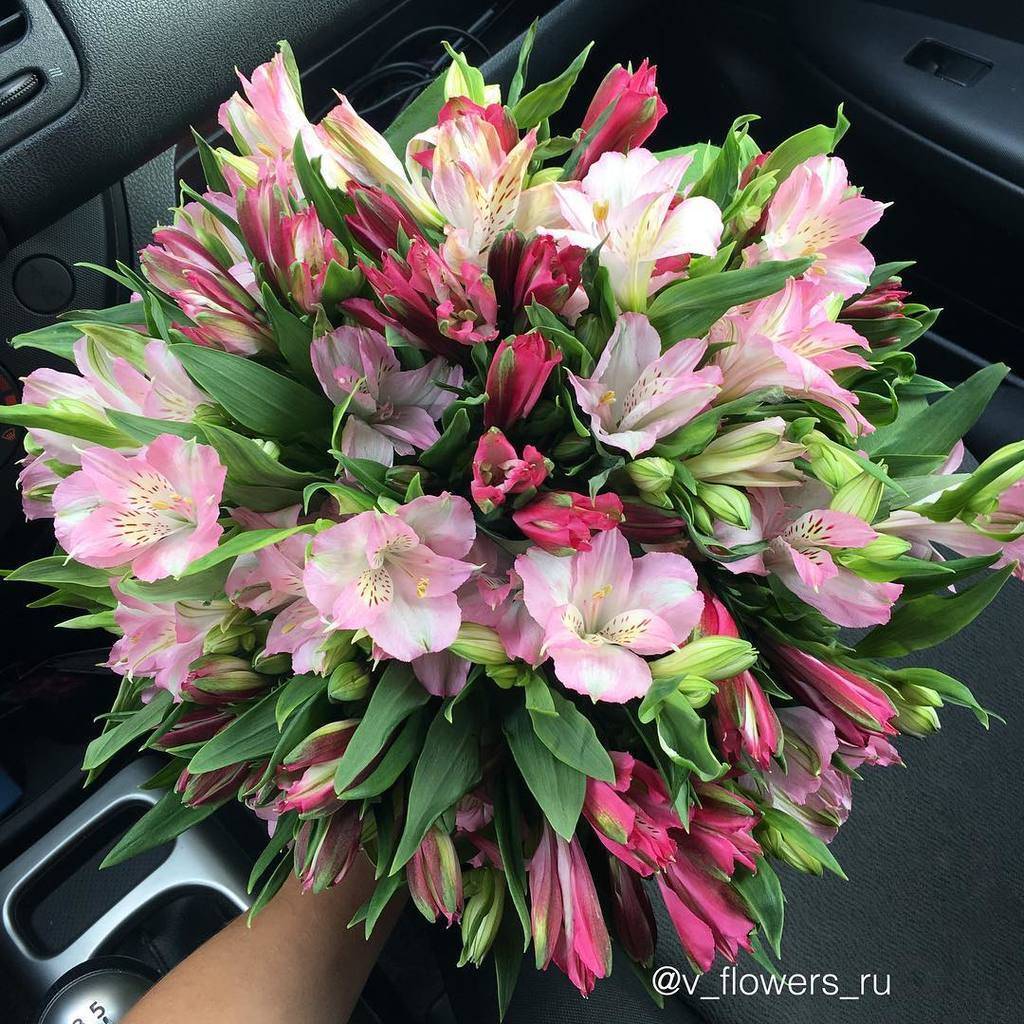 Флоренция
