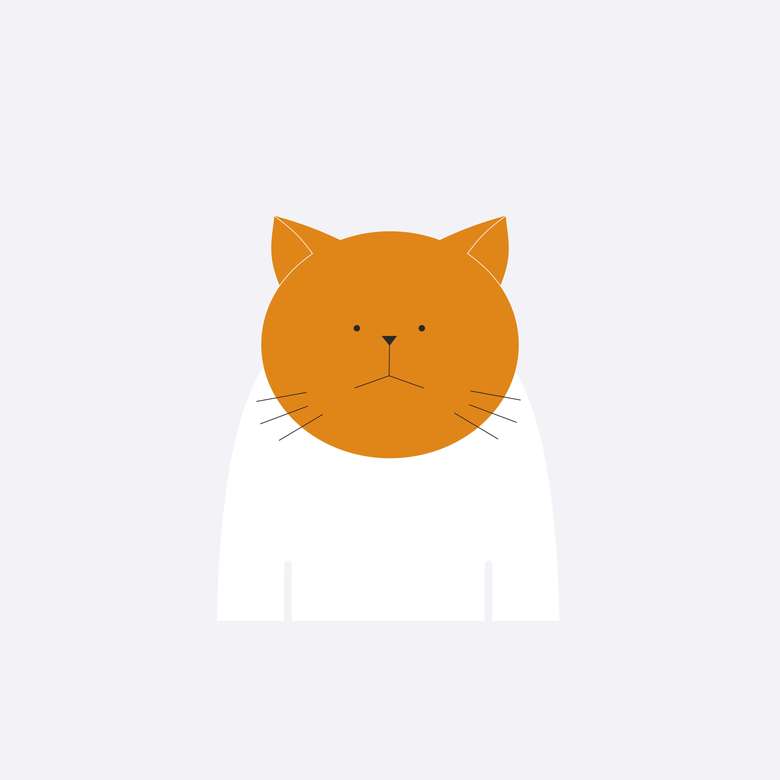 РЫЖИЙ КОТ