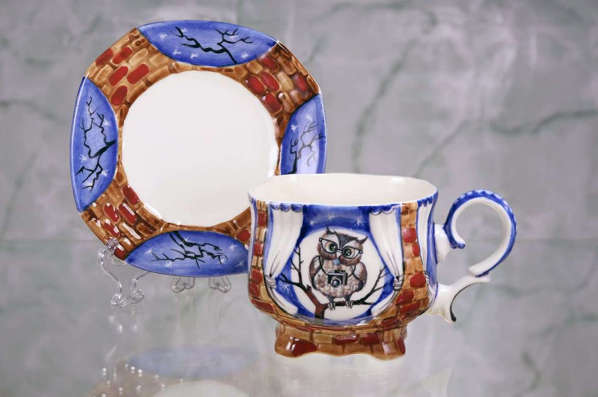 Handmade porcelain tea cup and saucer "Owl with camera. Night"