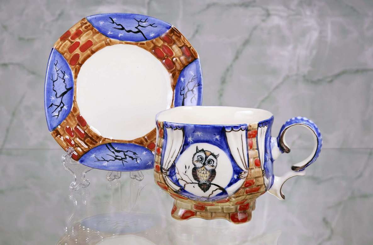 Handmade porcelain tea cup and saucer "Little owl.Night"