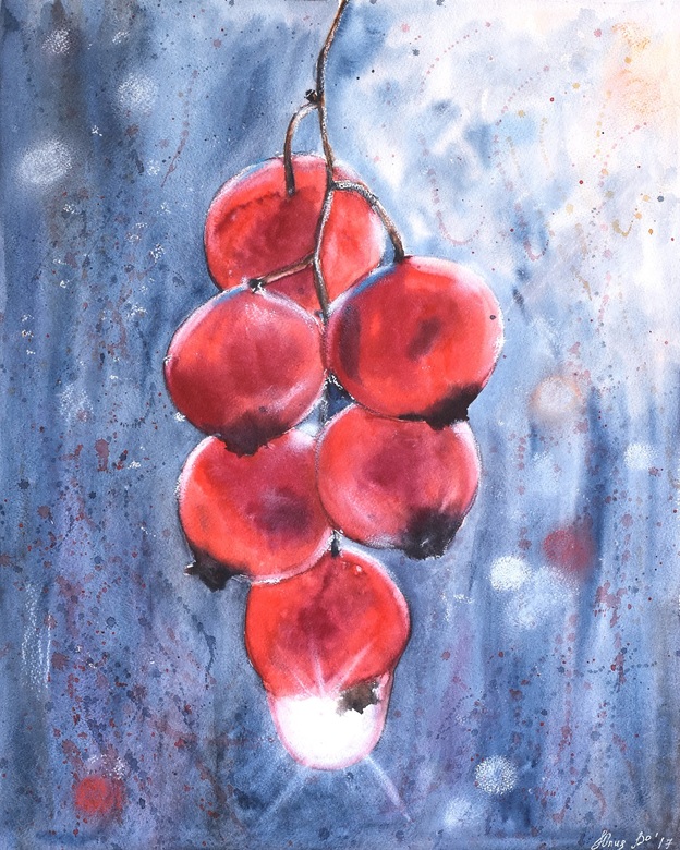 Красная смородина, акварель