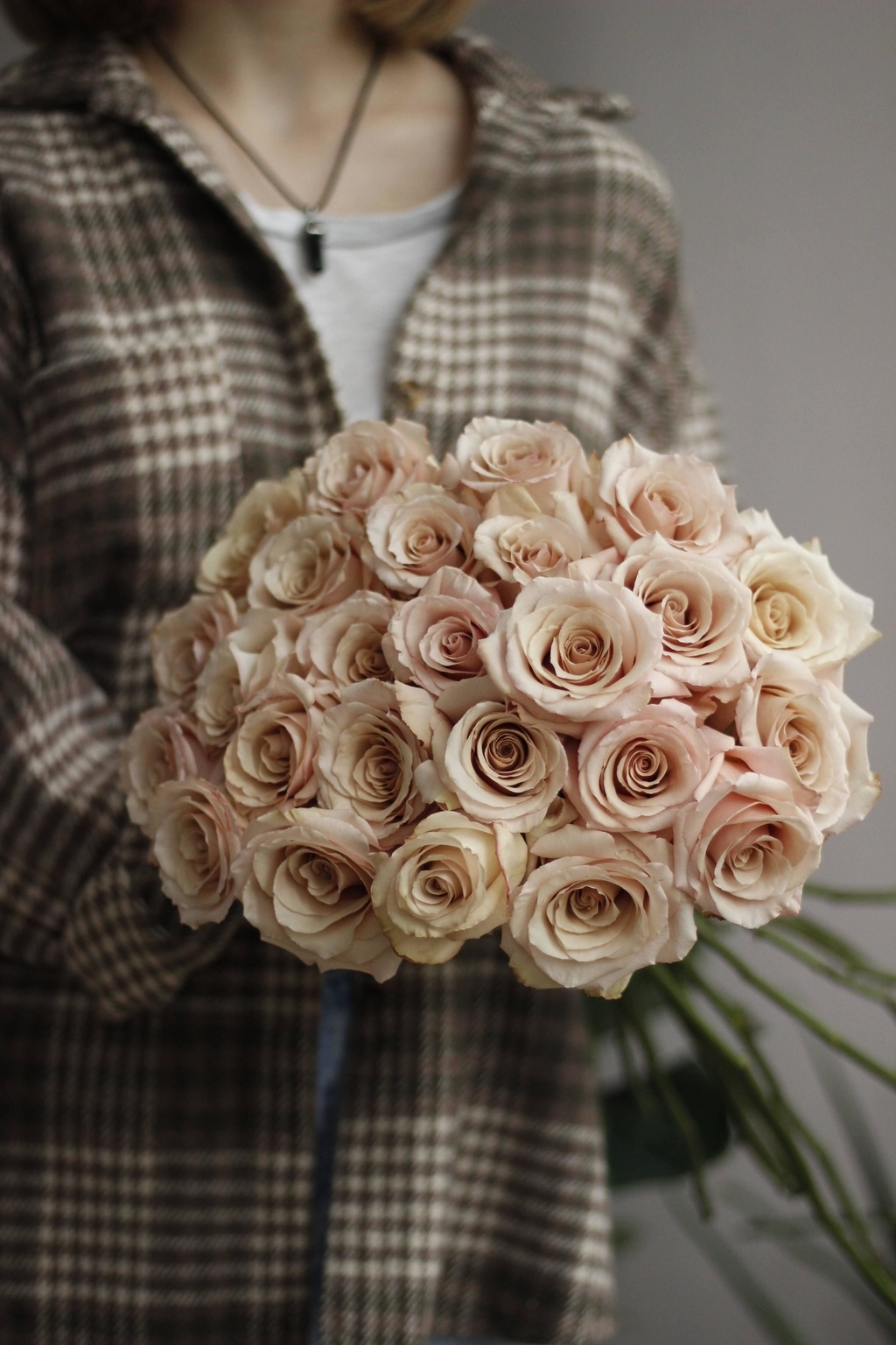 Пудровые розы