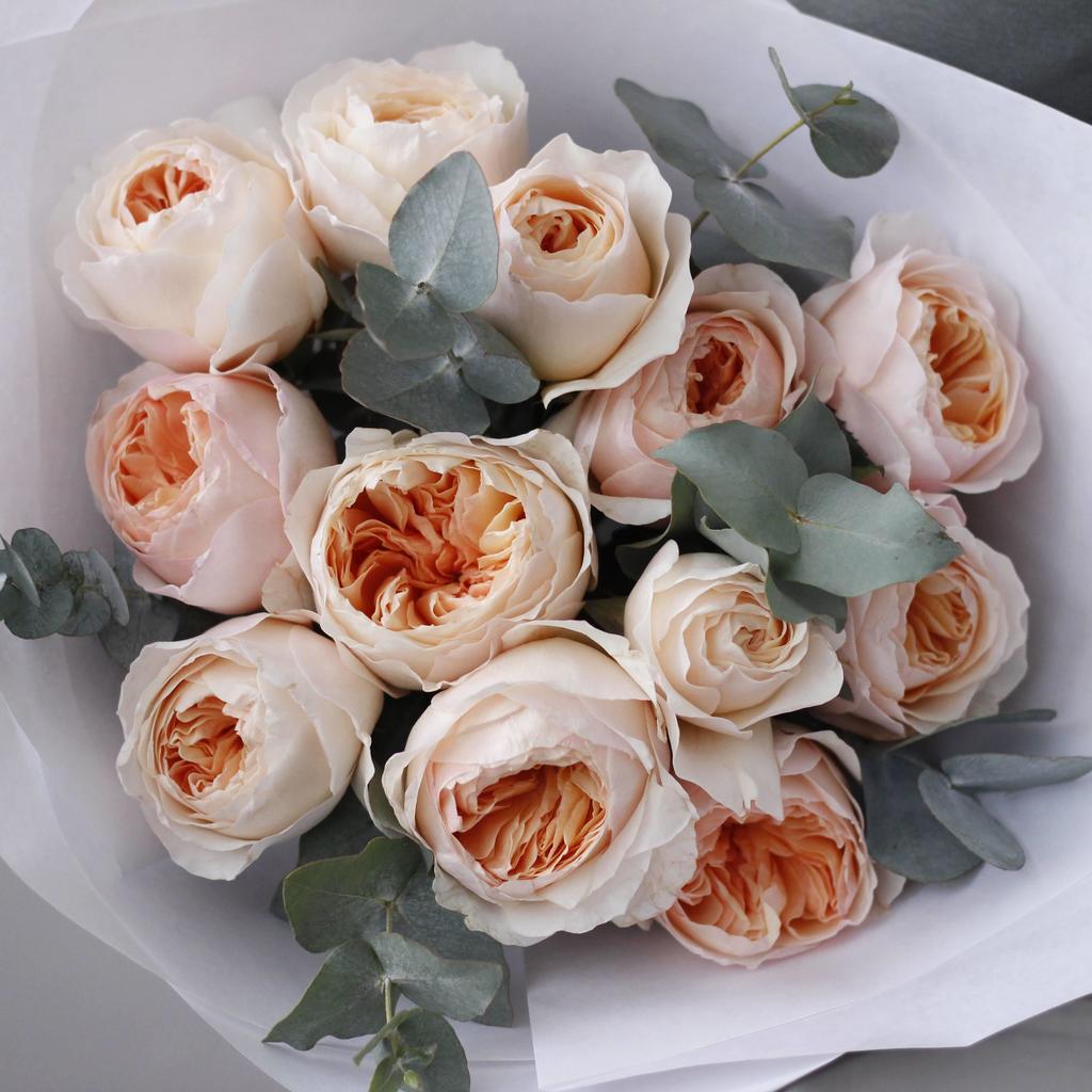 Пионовидная роза премиум