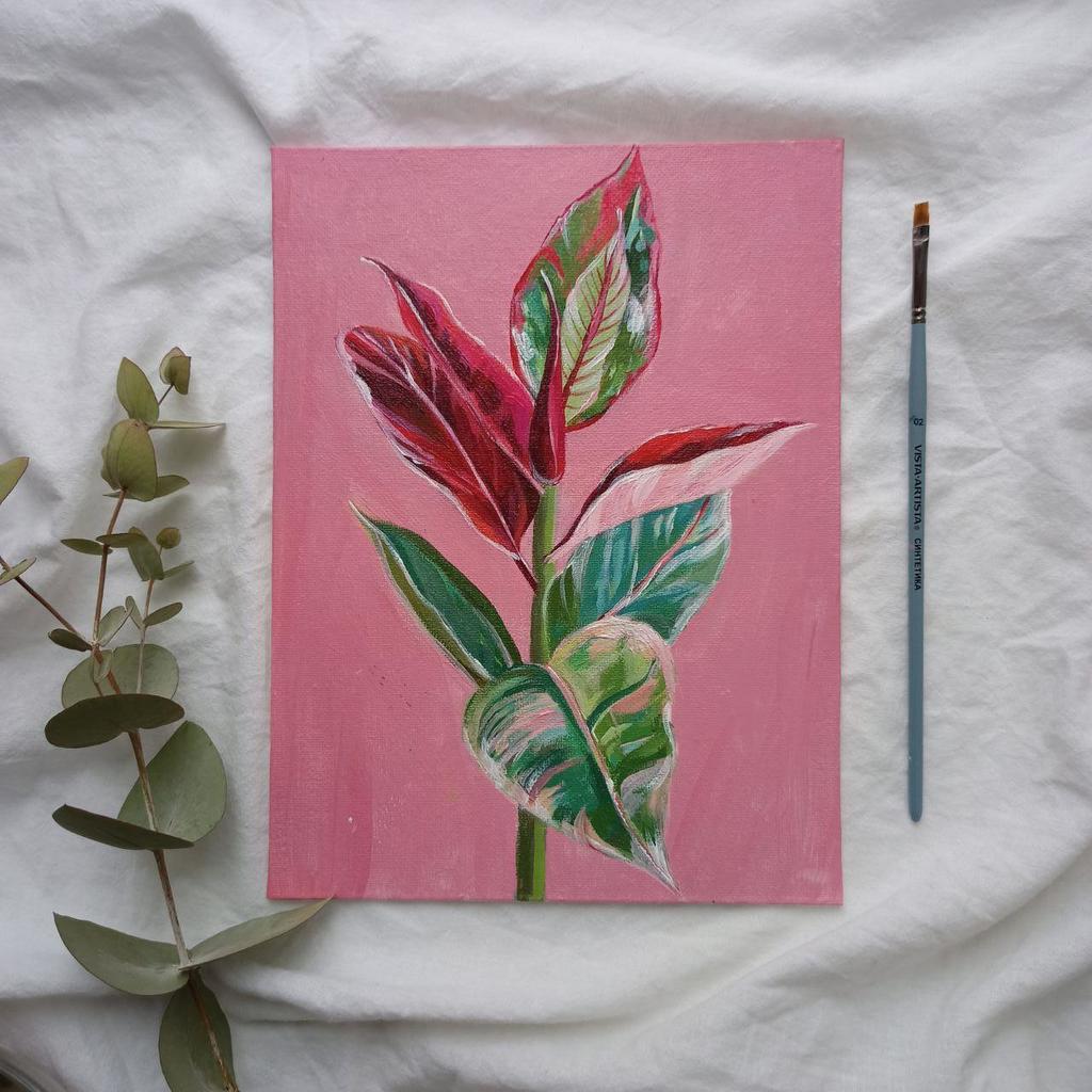 Картина "Фикус Бейлиз"