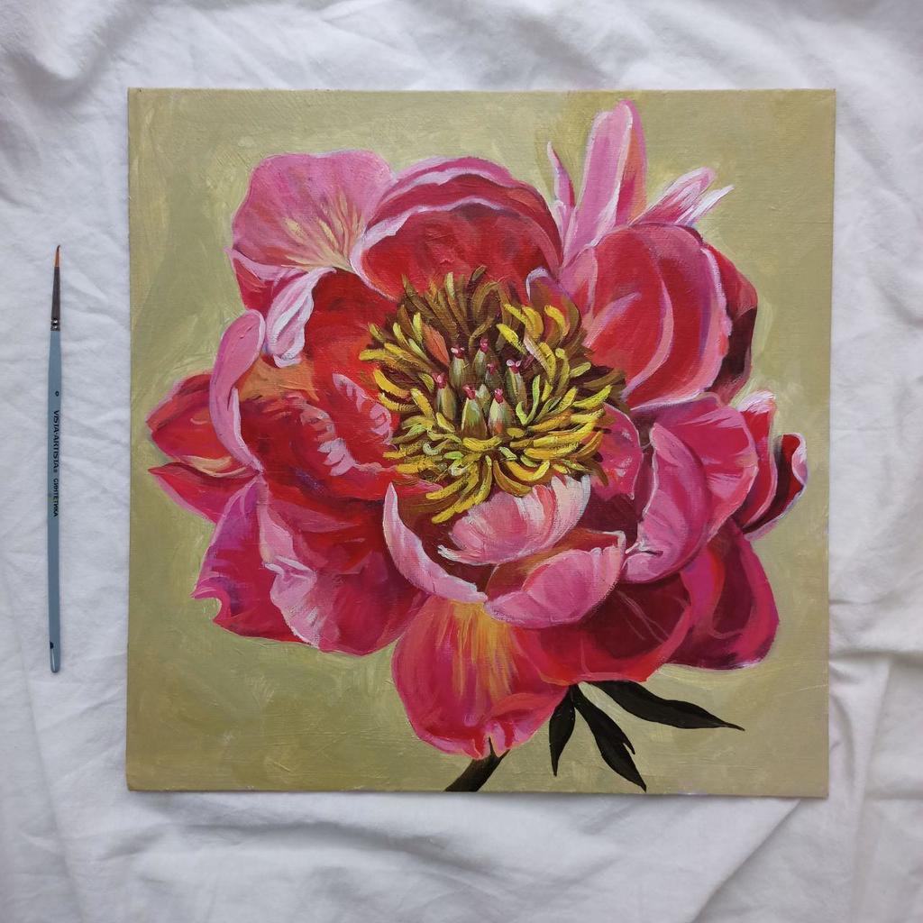 Картина "Пион Корал Шарм"