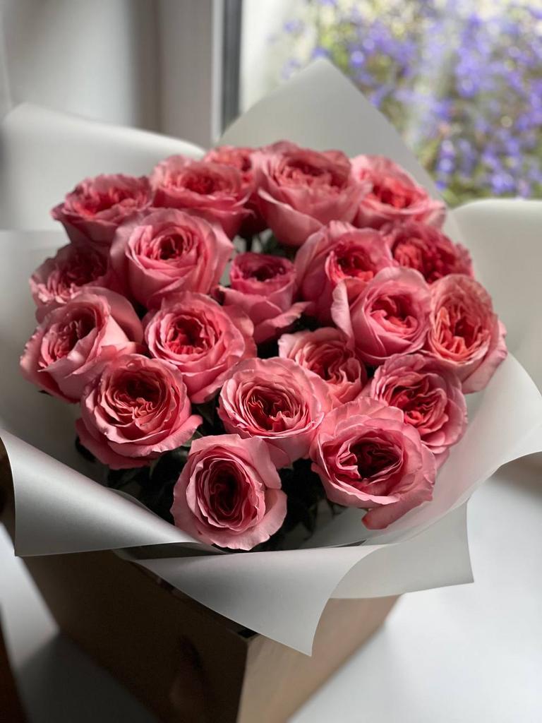 Пионовидная роза сорта Pink Expression