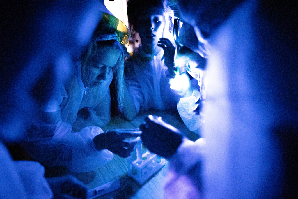 КВЕСТ "АПОКАЛИПСИС"