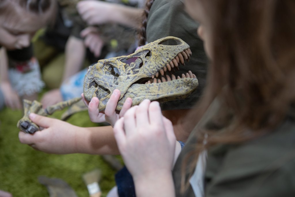 РАСКОПКИ ДИНОЗАВРОВ