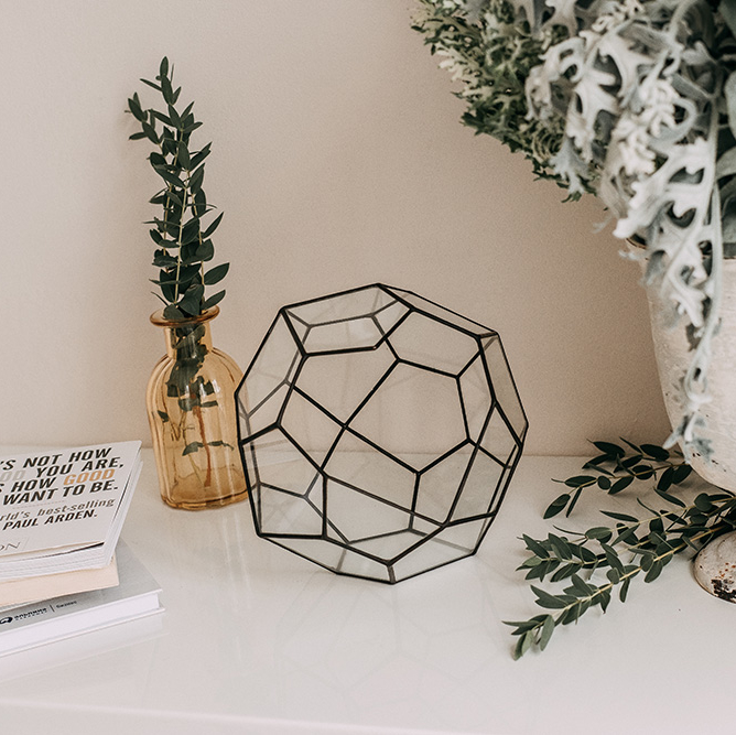 Флорариум "538"