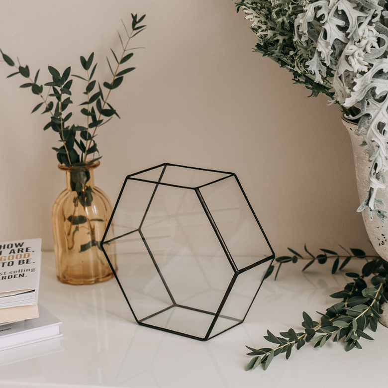 Шестиугольный флорариум